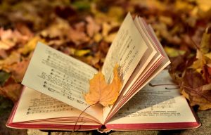 a book, fall, leaf-3755514.jpg